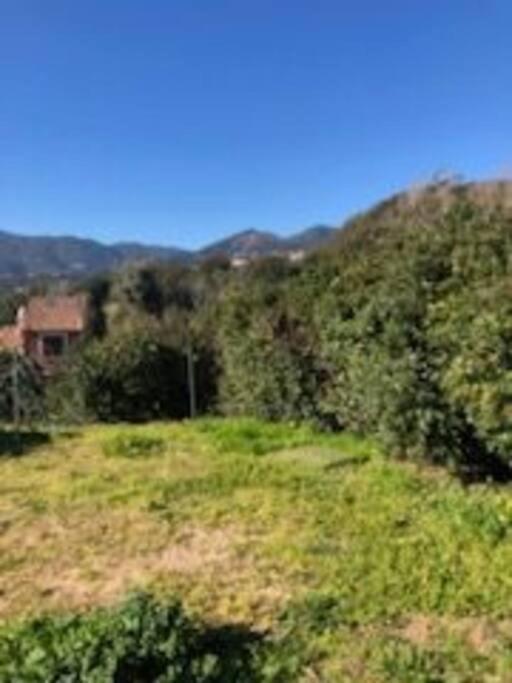 Villa En Corse Du Sud Entre Mer Et Montagne Peri Exterior foto